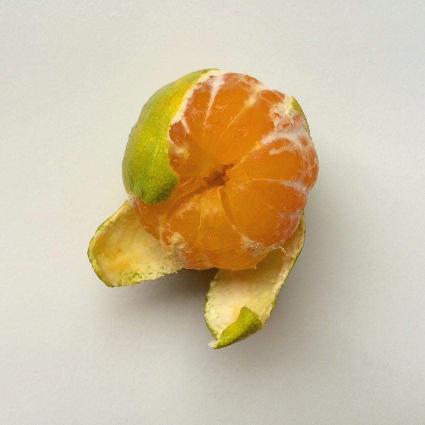 Satsuma