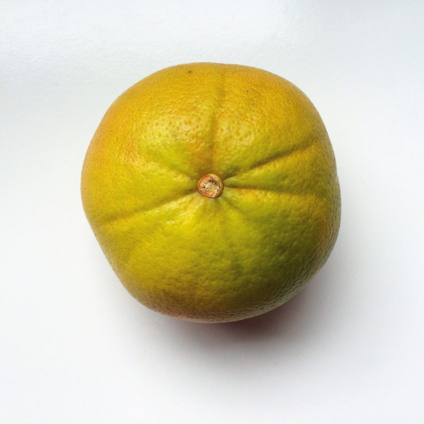 Satsuma