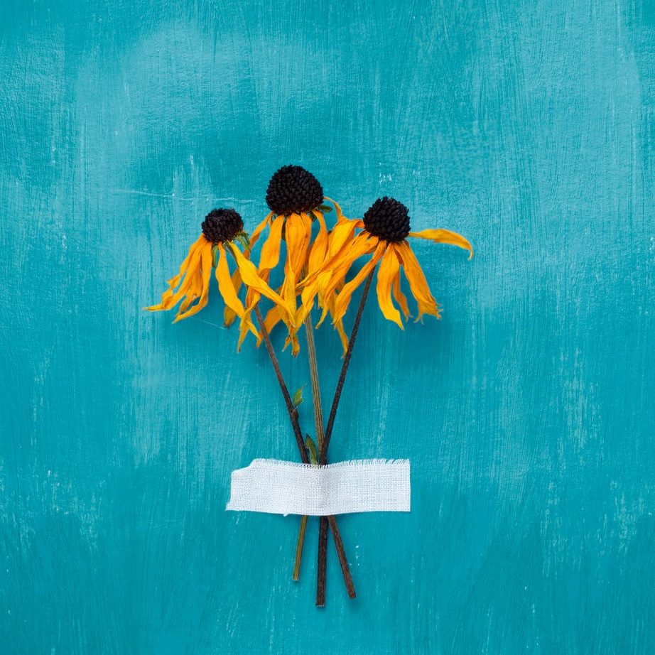 simpele interieurtips dried yellow flowers taped to blue wall