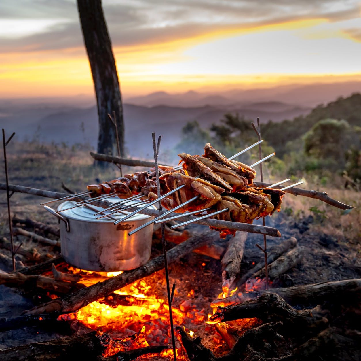 photo of chicken meat being cooked over a campfire
