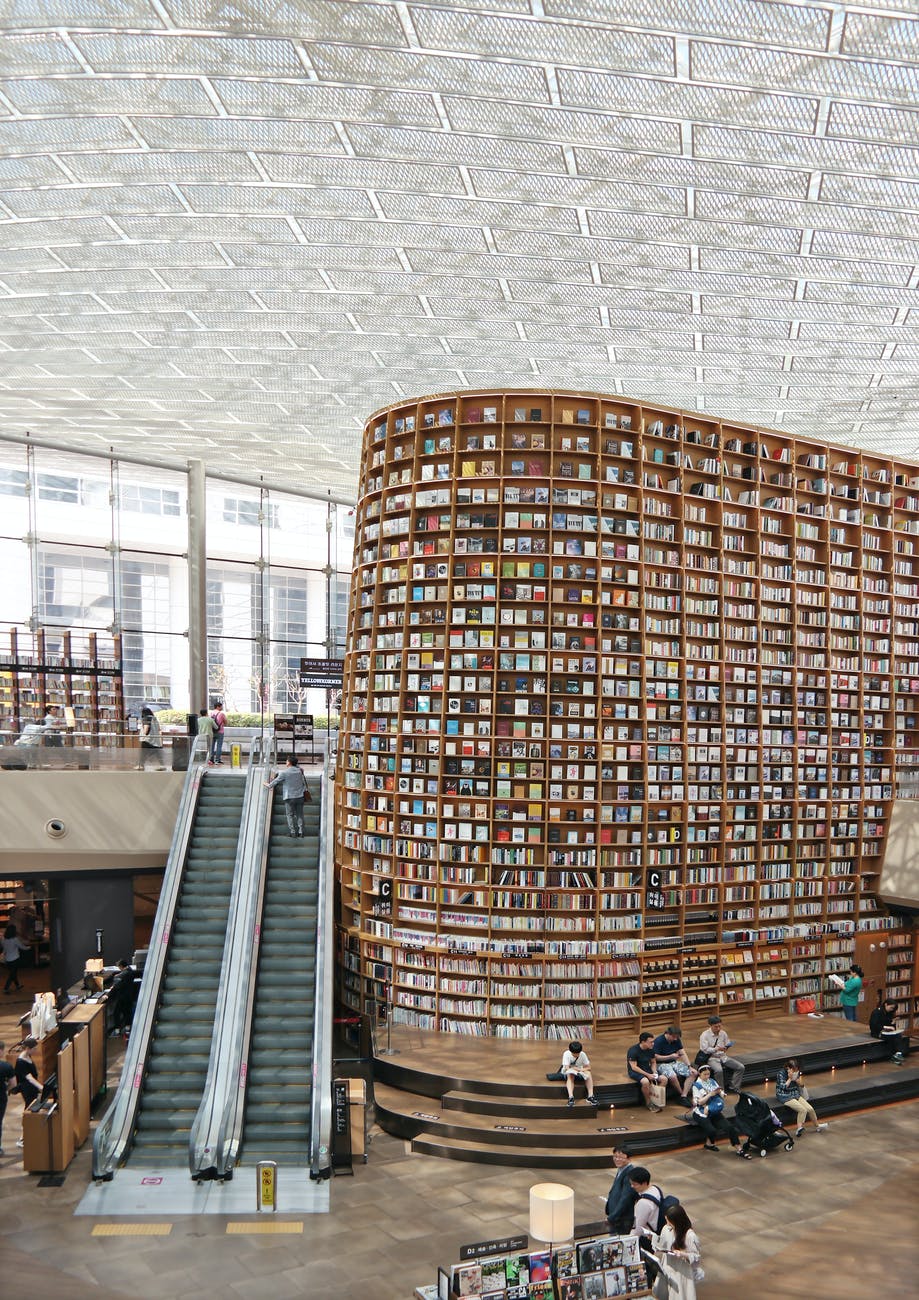 people reading books in library