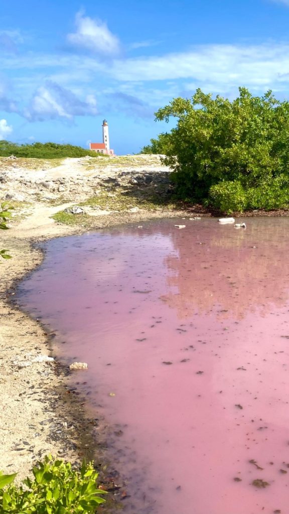 Bijzondere plekjes Curaçao klein curacao vuurtoren vakantie ervaring tip