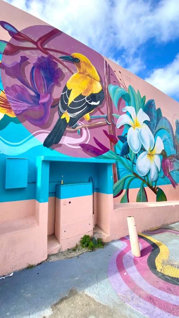 Bijzondere plekjes Curaçao streetart willemstad otrobanda vakantie