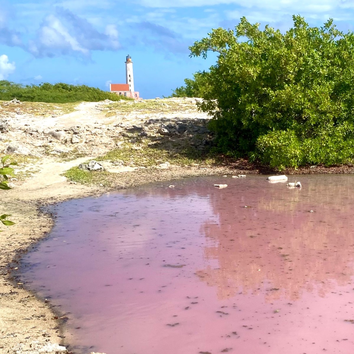 Bijzondere plekjes Curaçao klein curacao catamaran onbewoond eiland vuurtoren